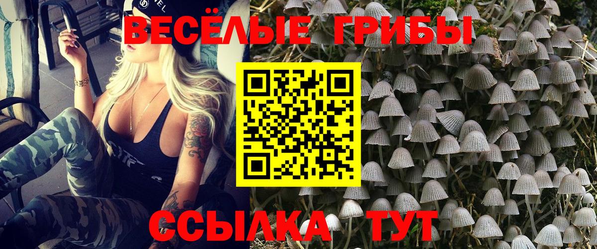 Псилоцибиновые грибы Magic Shrooms Курганинск