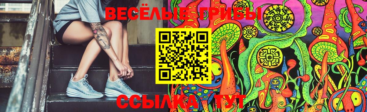 Галлюциногенные грибы мухоморы  Вход с VPN  Курганинск 
